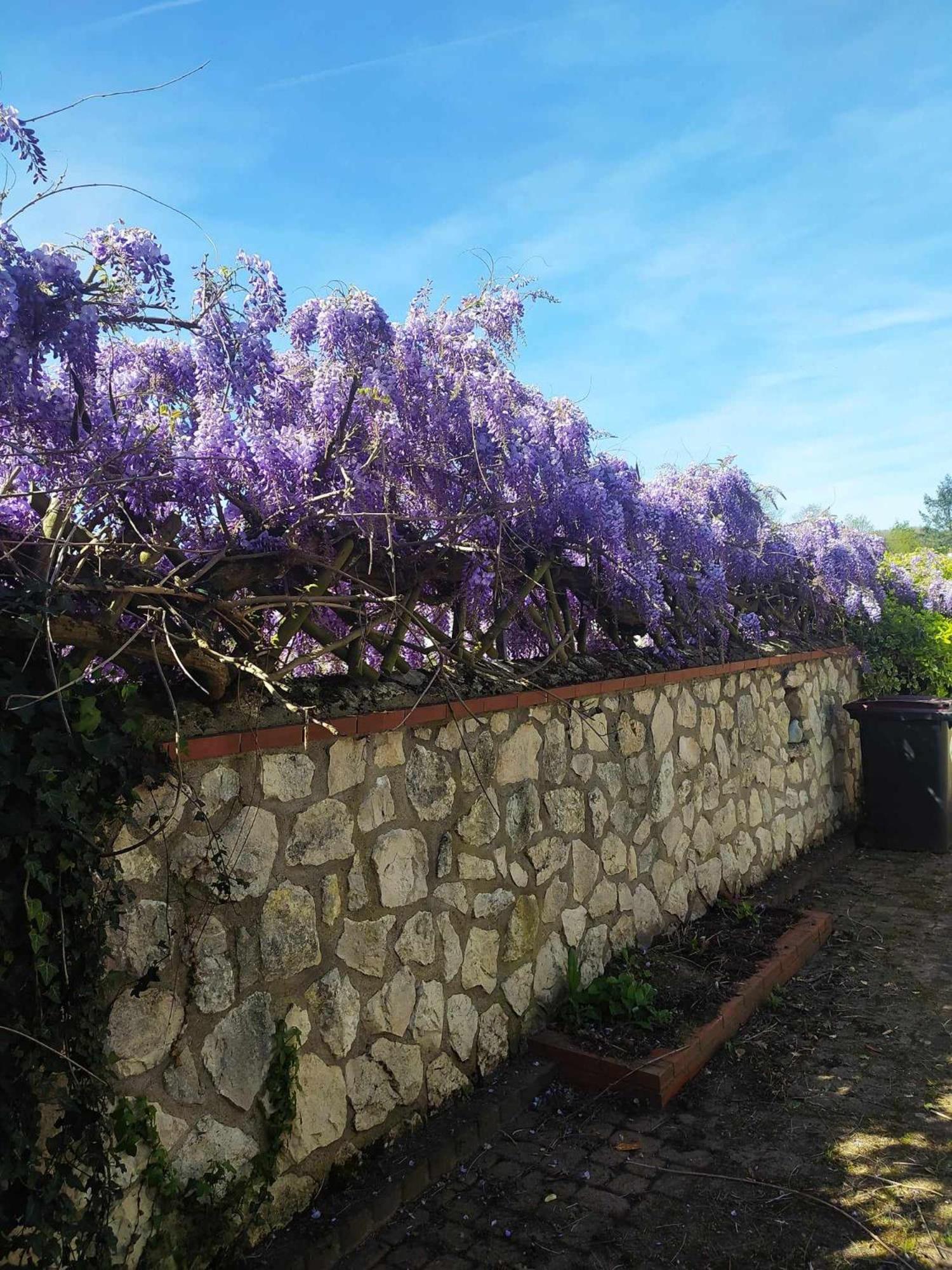 Le Gite De Poulas Couffy Exterior photo